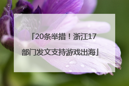 20条举措！浙江17部门发文支持游戏出海