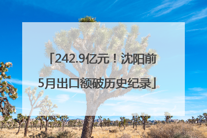 242.9亿元！沈阳前5月出口额破历史纪录