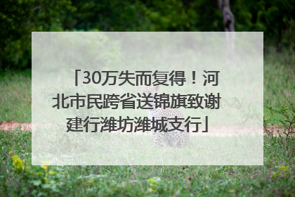 30万失而复得！河北市民跨省送锦旗致谢建行潍坊潍城支行