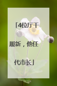 4位厅干履新，他任代市长