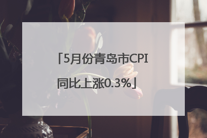5月份青岛市CPI同比上涨0.3%