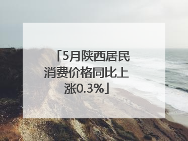 5月陕西居民消费价格同比上涨0.3%