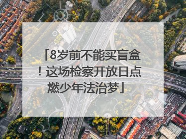 8岁前不能买盲盒！这场检察开放日点燃少年法治梦