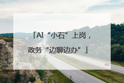 AI“小石”上岗，政务“边聊边办”