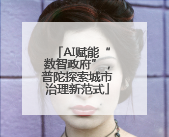 AI赋能“数智政府”，普陀探索城市治理新范式