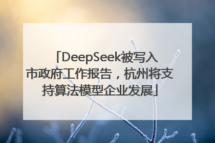 DeepSeek被写入市政府工作报告，杭州将支持算法模型企业发展