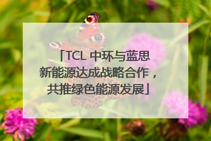 TCL 中环与蓝思新能源达成战略合作，共推绿色能源发展